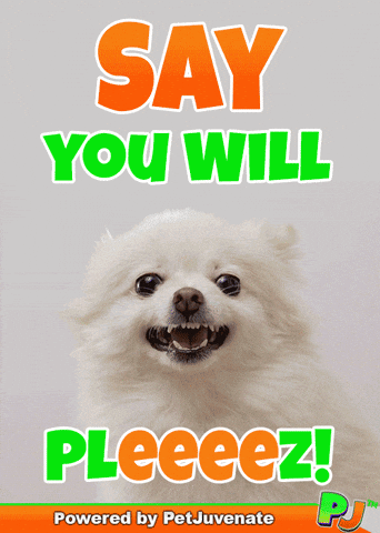 PetJuvenate petjuvenate henlo hooman fren love rescue dogs treatos and woofer for pupper GIF