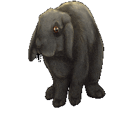 Lapin Sticker