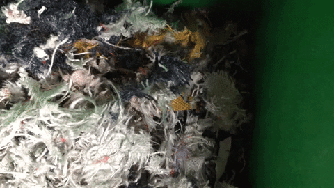 zoamandinefery giphyupload GIF