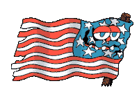 Usa Flag Sticker by Killer Acid
