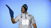 Lose Carolina Panthers GIF by morrisjenkins