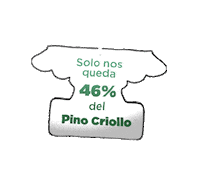 Sticker by Pino Criollo