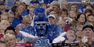 Indianapolis Colts GIF by NFL