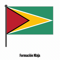 Flag Bandera GIF by Formación Ninja