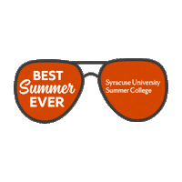 susummercollege Sticker by Syracuse University Summer College