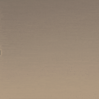 Fun Vibing GIF