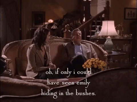 season 3 netflix GIF by Gilmore Girls 