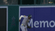 Sport Wow GIF by MLB