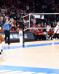 Ncaa Volleyball GIF by Texas Longhorns