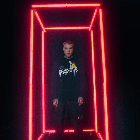 fedez estro disclaimer