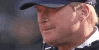2018 Nfl Football GIF by NFL