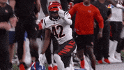 Football Nfl GIF by Bengals