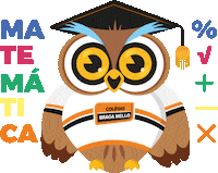 Presidente Prudente Owl Sticker by Braga Mello