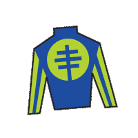 Horse Racing Sticker by Kentucky Derby