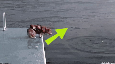 Upvote GIF by Imgur
