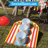 CarnivalSavers carnival savers carnivalsaverscom catch a ball carnival game carnival game it buy GIF