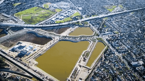 Jacobmargolis giphyupload GIF