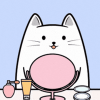 Cat GIF by MESA My Emotional Support Animal