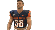 Cnfb Sticker by Carson-Newman Athletics