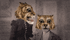 stop motion wtf GIF by Colin Raff