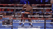 toprank fight boxing fighting espn GIF