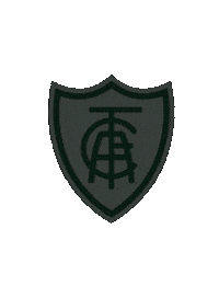 Serie A Football Sticker