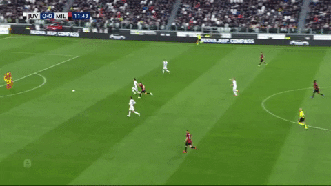 benedettogreco giphygifmaker spinazzola GIF