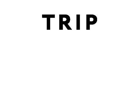 Road Trip Text Sticker