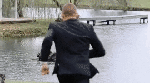 cuteanimalland giphyupload GIF