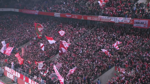 soccer celebration GIF by 1. FC Köln