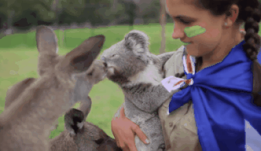smooch kangaroo GIF