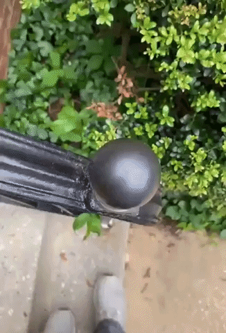 GifVif giphyupload polishing a knob GIF