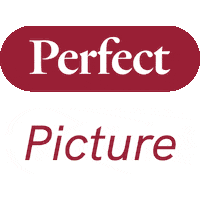 Color Picture Sticker by studio flabbergasted