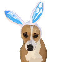 Dog Pet Sticker by Watertown Humane Society