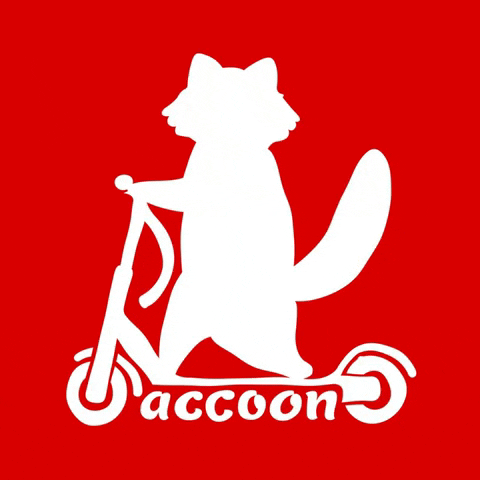 raccoonscooter giphygifmaker raccoon raccoon scooter raccoonscooter GIF