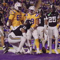 College Football GIF by LSU Tigers