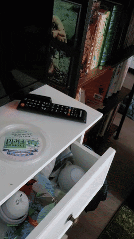 Wickersnap giphygifmaker GIF