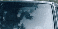 Cbs Chase GIF by Wolf Entertainment