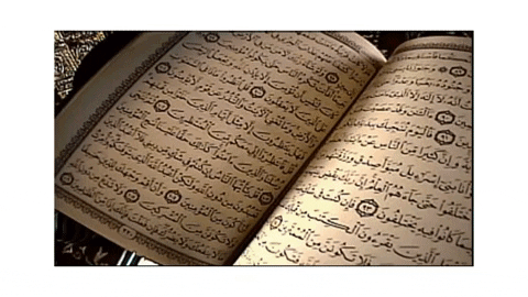 DonTaylor10000 giphygifmaker islam GIF