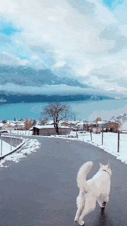 ehdgus1211 giphyupload GIF