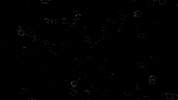 Black And White Vibes GIF by Soccer Mommy