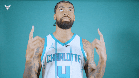 Hive Mentality Nick Richards GIF by Charlotte Hornets