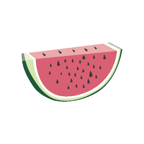 WatermelonCatering giphyupload watermelon watermelon catering watermeloncatering Sticker
