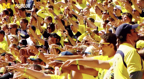 excited michigan football GIF by Michigan Athletics