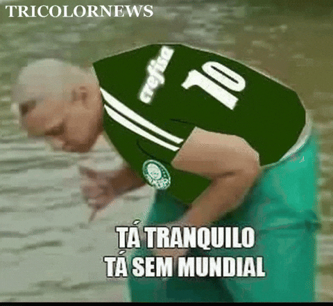 Palmeiras GIF