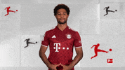 Bayern Munich Football GIF by Bundesliga