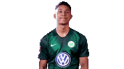Hurry Up Football Sticker by VfL Wolfsburg