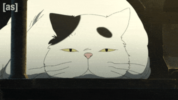 Fat Cat Sleeping GIF by Adult Swim