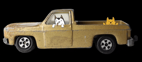 ccminifactory giphyattribution dogs truck miniature GIF