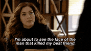 fox innocentonfox GIF by Proven Innocent